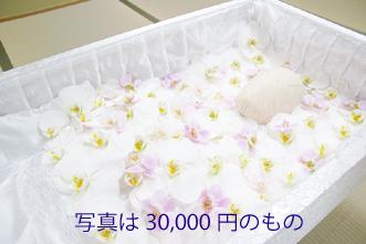 胡蝶蘭納棺花　顔周りのみ